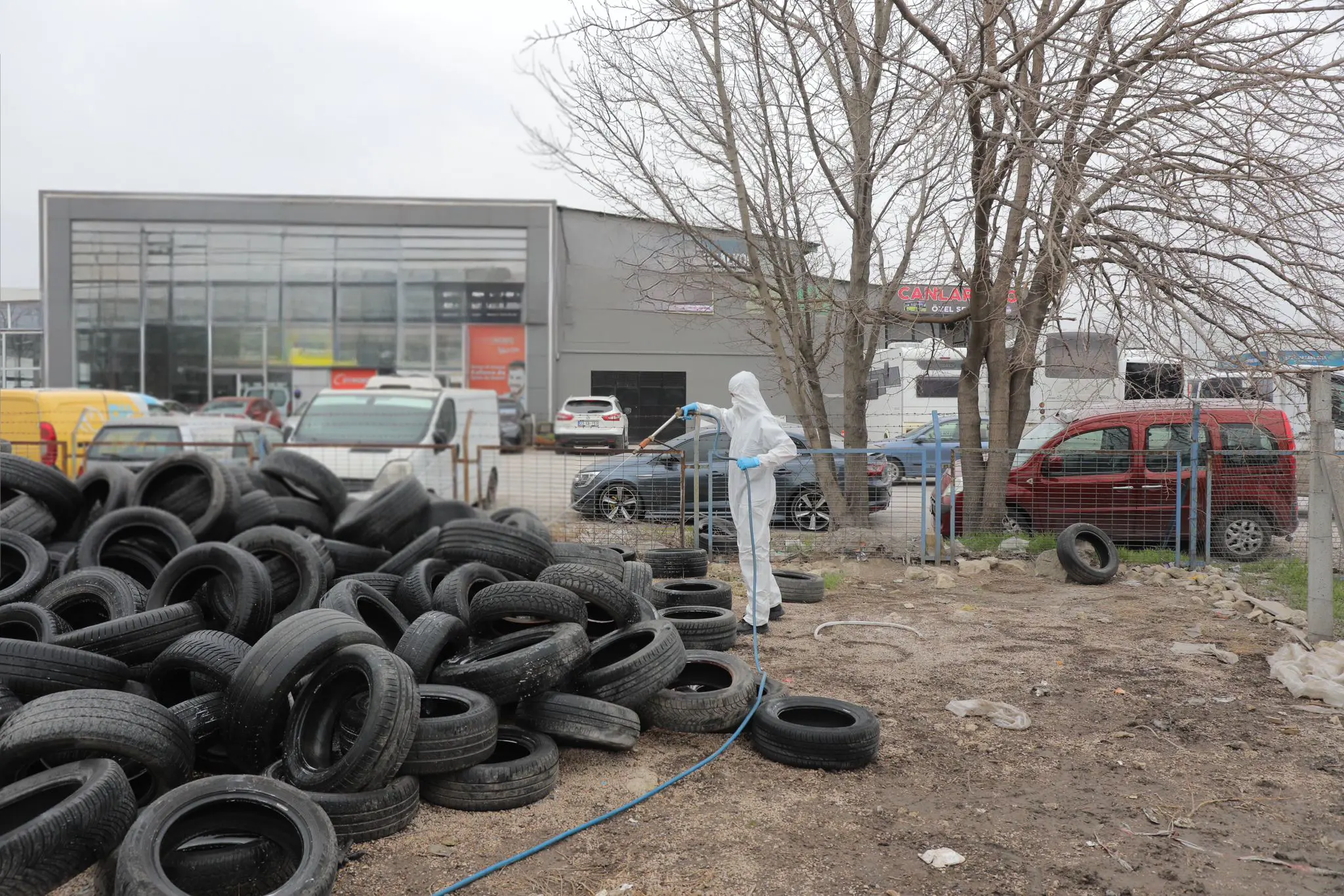EDİRNE BELEDİYESİ’NDEN HALK SAĞLIĞI İÇİN KESİNTİSİZ MÜCADELE galeri görseli